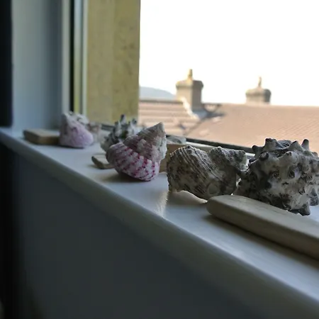 게스트하우스 Sligo Bay 로지즈 포인트