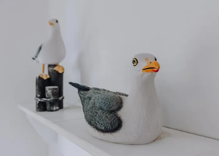 Sligo Bay בית הארחה